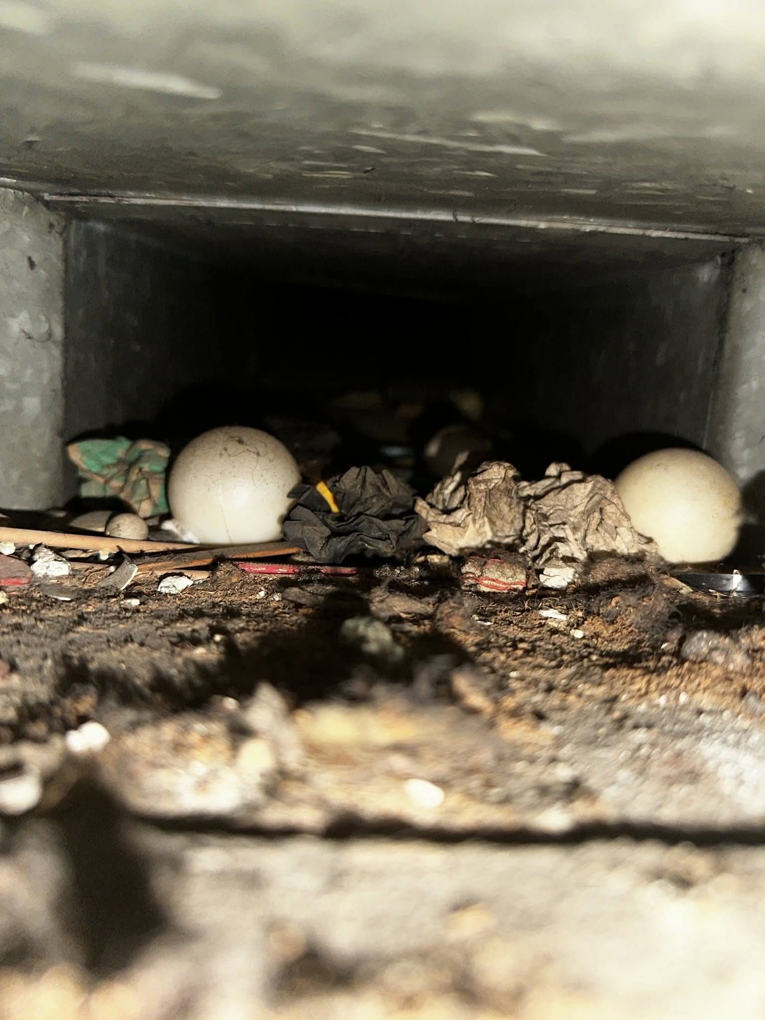 Air duct cleaning service